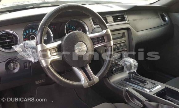 Buy Import Ford Mustang Other Car in Import - Dubai in Agalega Islands Buy Import Ford Mustang Other Car in Import - Dubai in Agalega Islands
