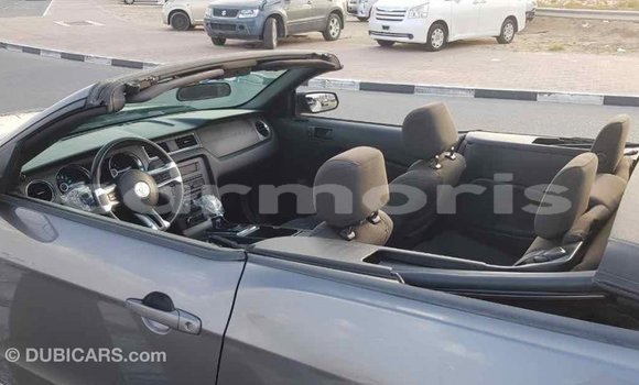 Buy Import Ford Mustang Other Car in Import - Dubai in Agalega Islands Buy Import Ford Mustang Other Car in Import - Dubai in Agalega Islands