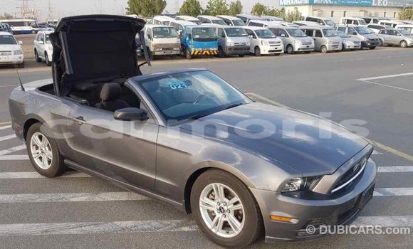 Buy Import Ford Mustang Other Car in Import - Dubai in Agalega Islands Buy Import Ford Mustang Other Car in Import - Dubai in Agalega Islands