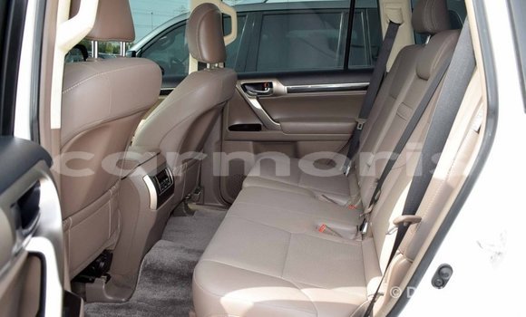 Buy Import Lexus GX White Car in Import - Dubai in Agalega Islands Buy Import Lexus GX White Car in Import - Dubai in Agalega Islands