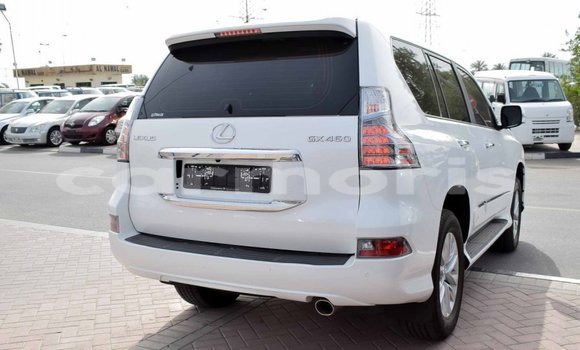 Buy Import Lexus GX White Car in Import - Dubai in Agalega Islands Buy Import Lexus GX White Car in Import - Dubai in Agalega Islands