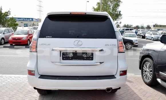 Buy Import Lexus GX White Car in Import - Dubai in Agalega Islands Buy Import Lexus GX White Car in Import - Dubai in Agalega Islands