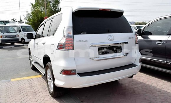 Buy Import Lexus GX White Car in Import - Dubai in Agalega Islands Buy Import Lexus GX White Car in Import - Dubai in Agalega Islands