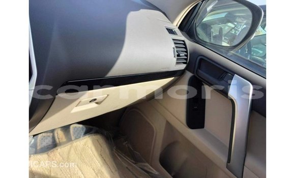 Buy Import Toyota Prado Other Car in Import - Dubai in Agalega Islands Buy Import Toyota Prado Other Car in Import - Dubai in Agalega Islands