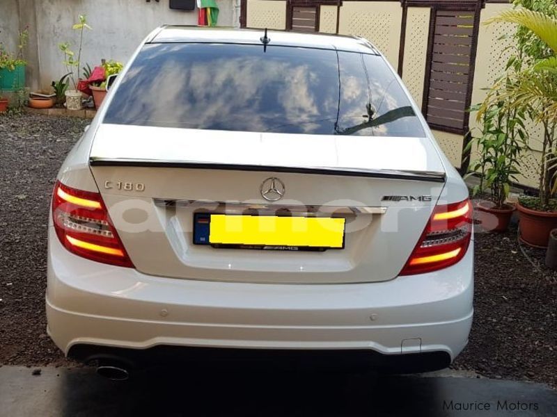 Big with watermark 10