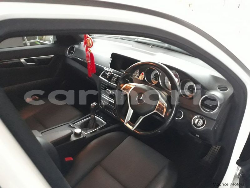 Big with watermark 11