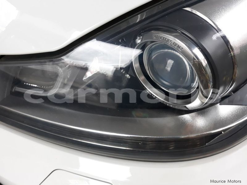 Big with watermark 12