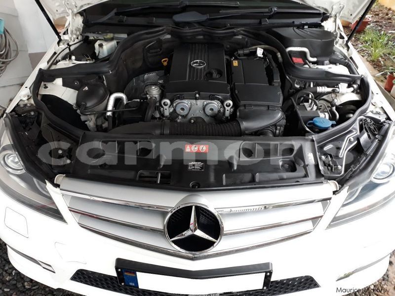 Big with watermark 8