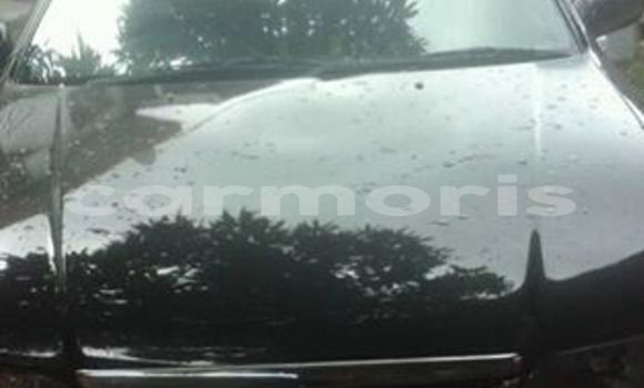 Buy Used Nissan Sunny Black Car in Port Louis in Port Louis District