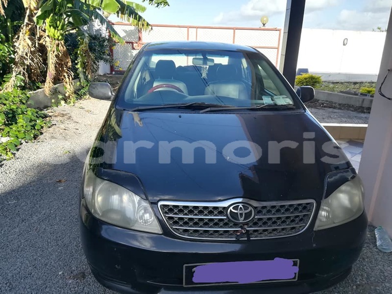 Big with watermark 37824397 1770167459741138 1684420877103398912 n