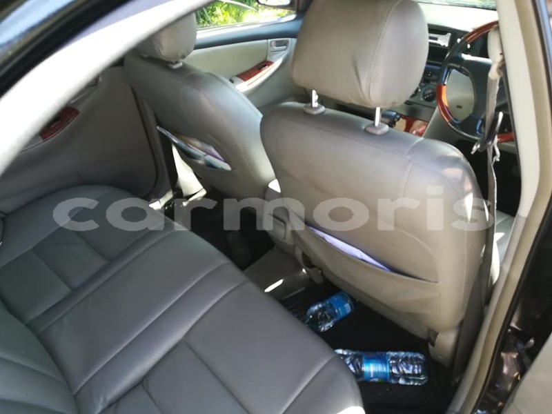 Big with watermark 37826241 1770167649741119 7742336376820989952 n