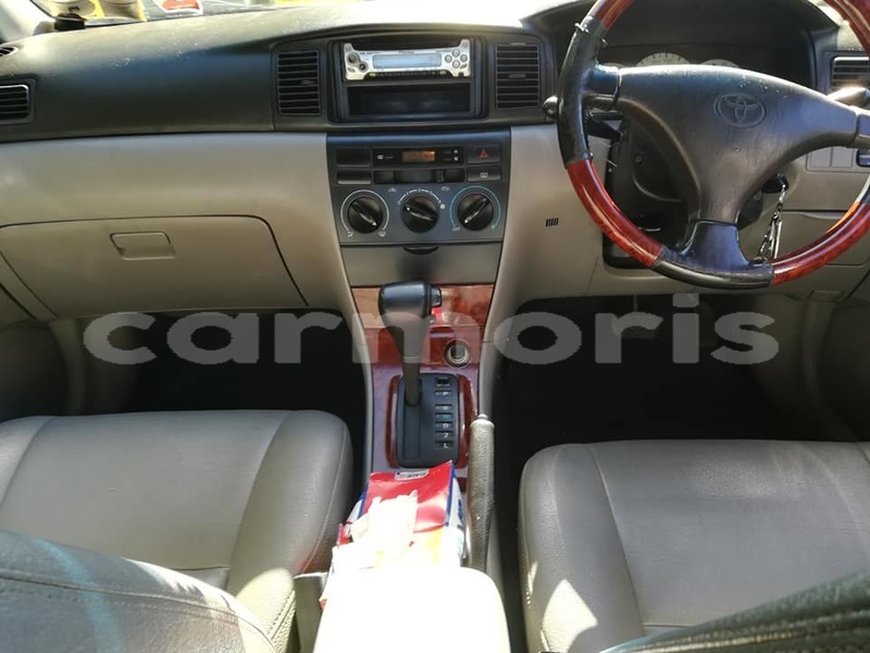 Big with watermark 37794294 1770167556407795 4464347173928042496 n