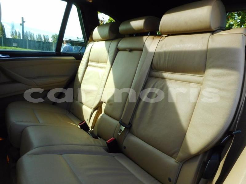 Big with watermark z23