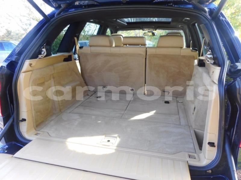 Big with watermark z25