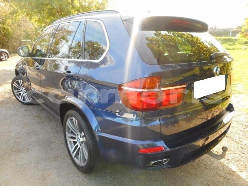 Big with watermark z28