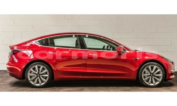 Buy Import Tesla Model 3 Red Car in Import - Dubai in Agalega Islands Buy Import Tesla Model 3 Red Car in Import - Dubai in Agalega Islands