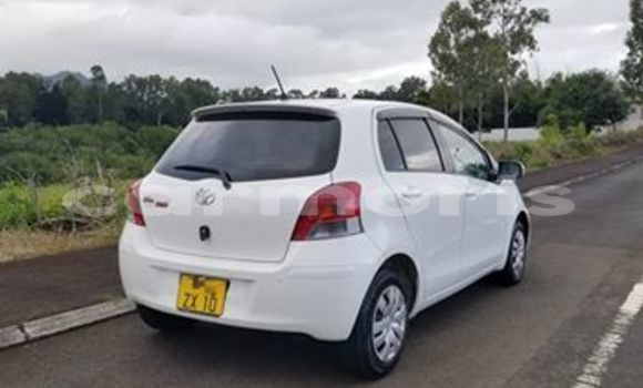 Buy Used Toyota Vitz White Car in Beau Bassin–Rose Hill in Plaines Wilhems District Buy Used Toyota Vitz White Car in Beau Bassin–Rose Hill in Plaines Wilhems District