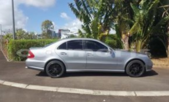 Buy Used Mercedes-Benz E–Class Silver Car in Beau Bassin–Rose Hill in Plaines Wilhems District Buy Used Mercedes-Benz E–Class Silver Car in Beau Bassin–Rose Hill in Plaines Wilhems District