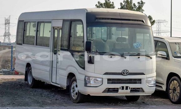 Buy Import Toyota Coaster White Car in Import - Dubai in Agalega Islands Buy Import Toyota Coaster White Car in Import - Dubai in Agalega Islands